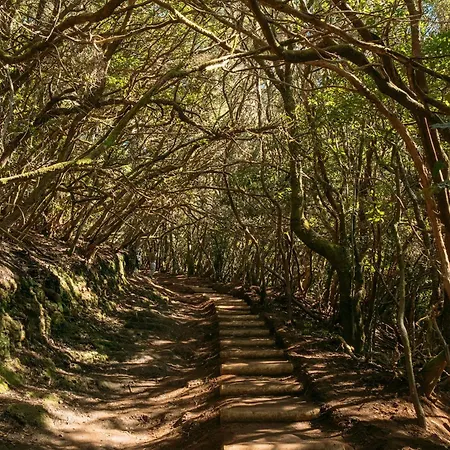 Apartment Lunamar Luxury Place *