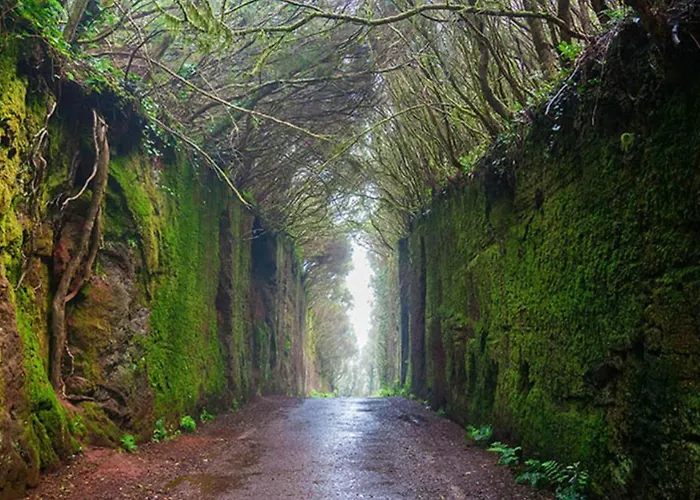 Apartman Lunamar Luxury Place *